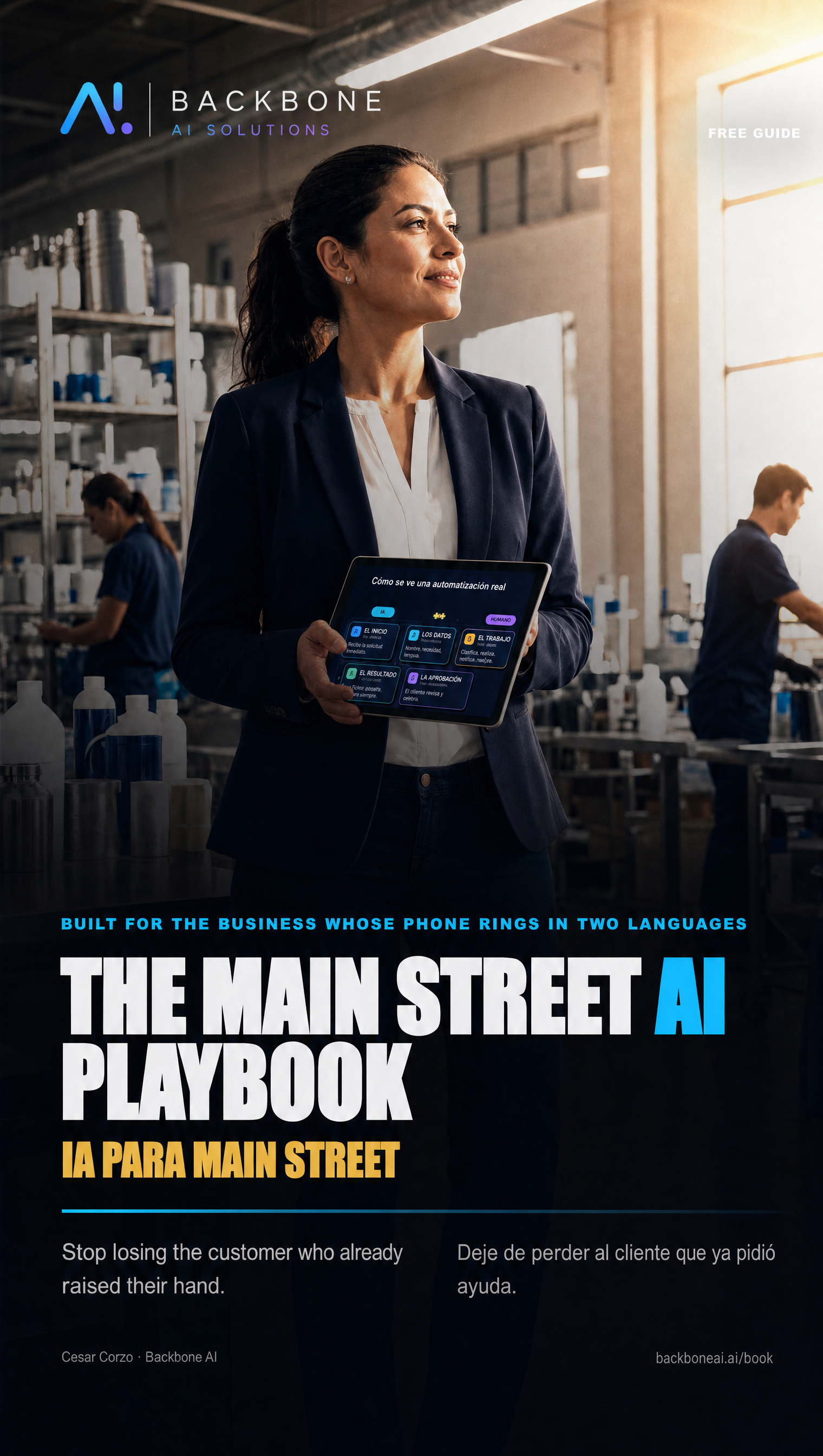 The Main Street AI Playbook cover